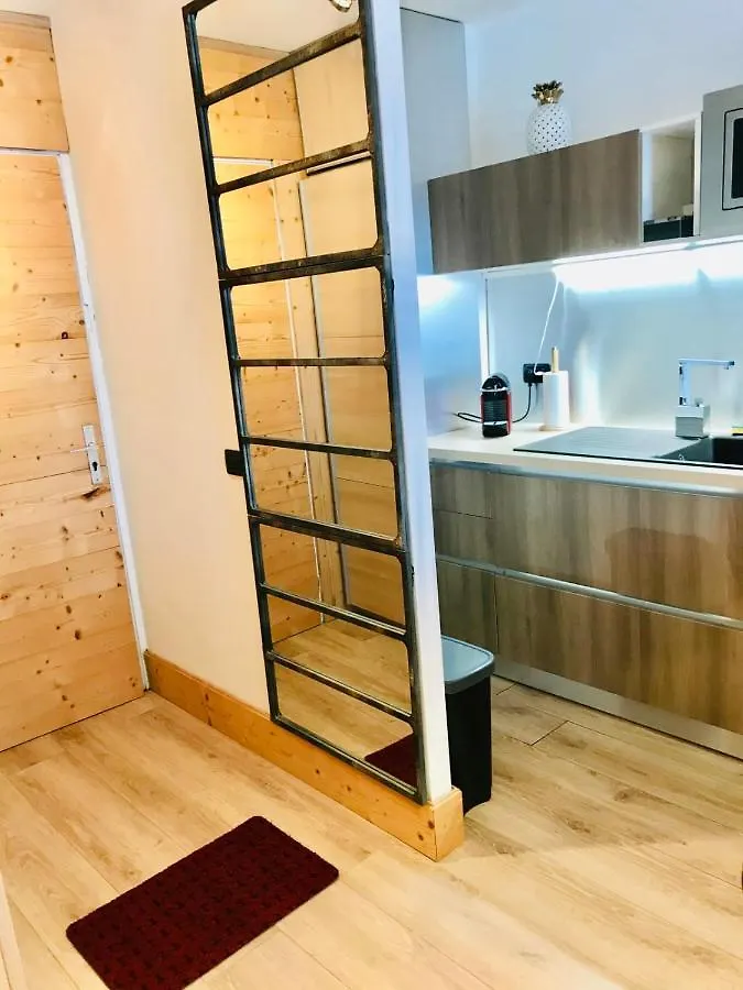 Apartment In The City Center With A View Of Mont Blanc Chamonix